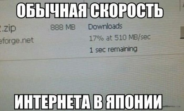 Прикольные картинки (104 фото)