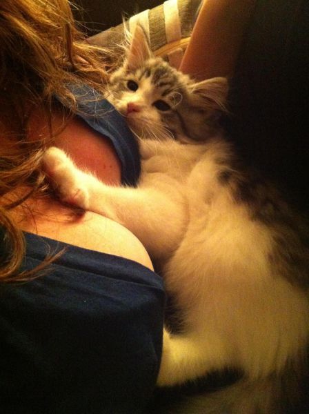 Прикольные картинки (104 фото)