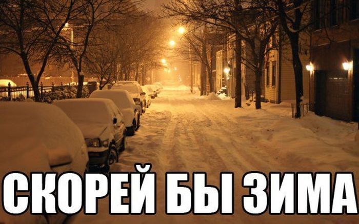 Прикольные картинки (104 фото)