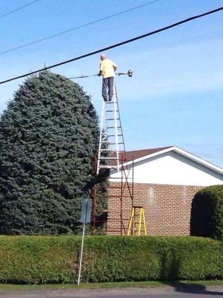 Прикольные картинки (104 фото)