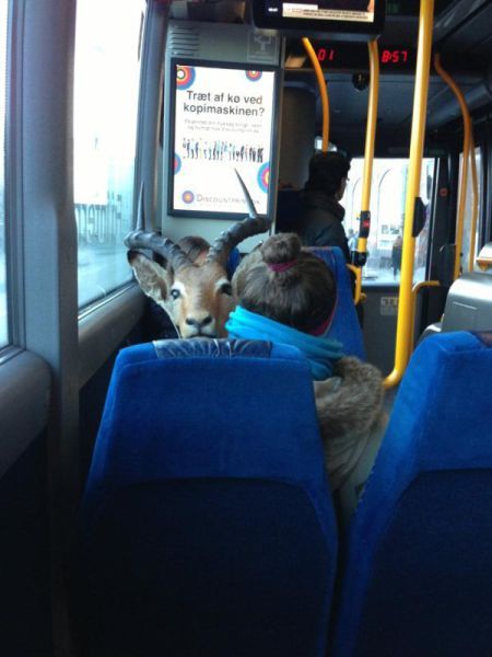 Прикольные картинки (104 фото)