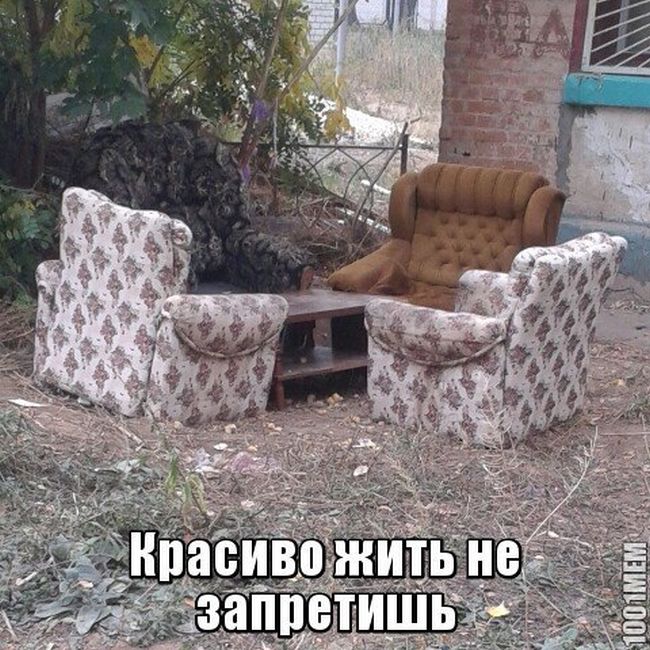 Прикольные картинки (104 фото)