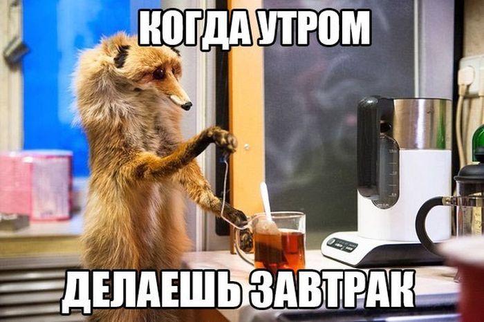 Прикольные картинки (104 фото)