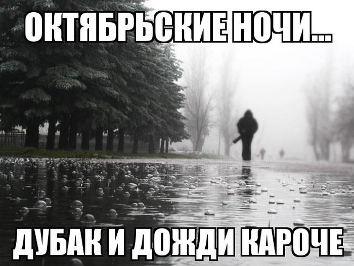 Прикольные картинки (104 фото)