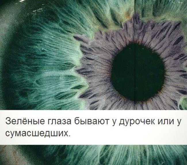 Прикольные картинки (104 фото)