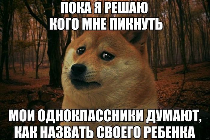 Прикольные картинки (100 фото)