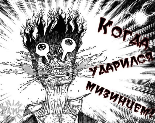 Прикольные картинки (100 фото)