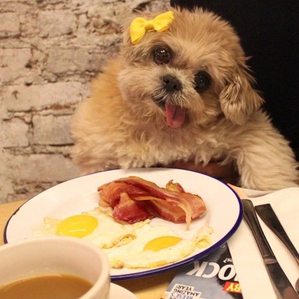 Прикольные картинки (100 фото)