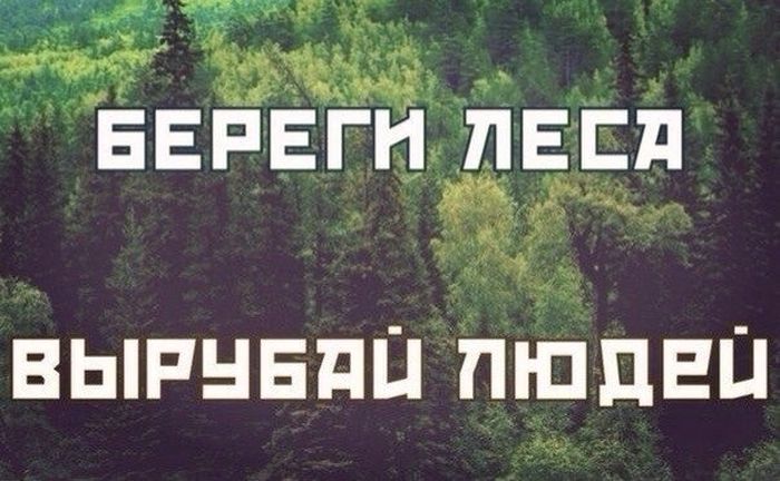 Прикольные картинки (100 фото)