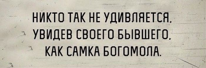 Прикольные картинки (100 фото)