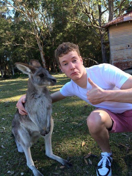 Прикольные картинки (100 фото)