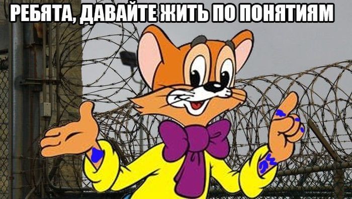 Прикольные картинки (100 фото)