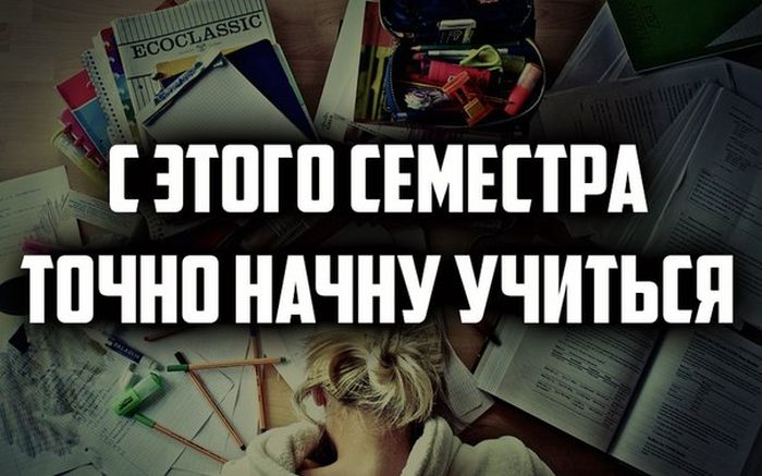 Прикольные картинки (103 фото)