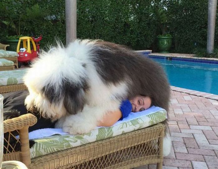 Прикольные картинки (103 фото)