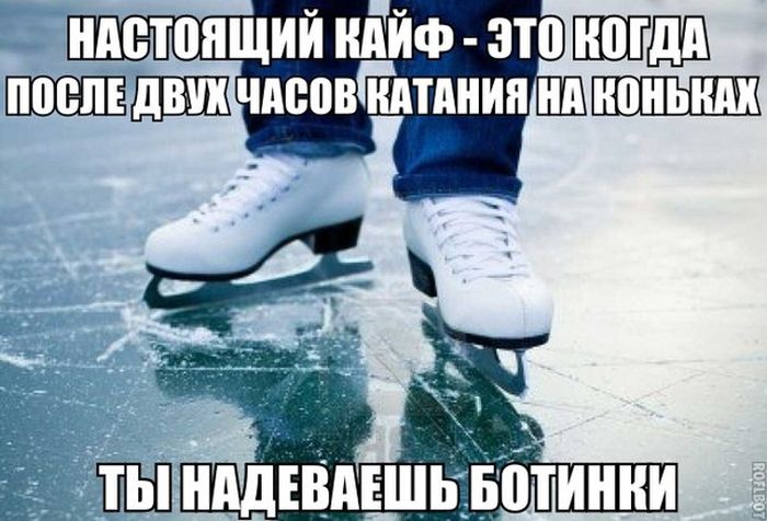 Прикольные картинки (103 фото)