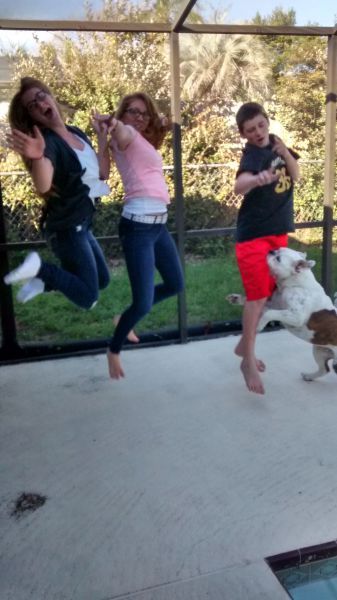 Прикольные картинки (103 фото)