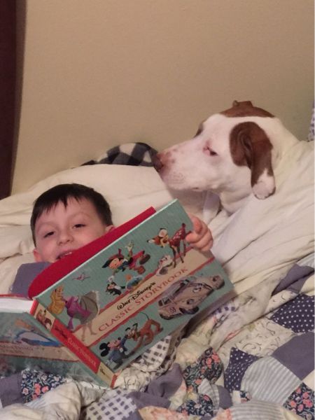 Прикольные картинки (103 фото)