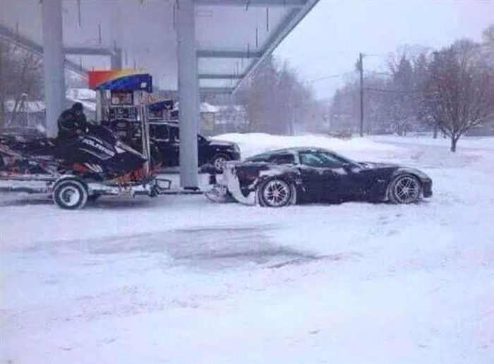 Прикольные картинки (103 фото)