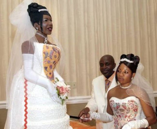 Прикольные картинки (103 фото)