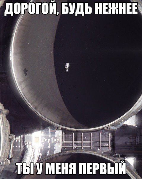 Прикольные картинки (103 фото)