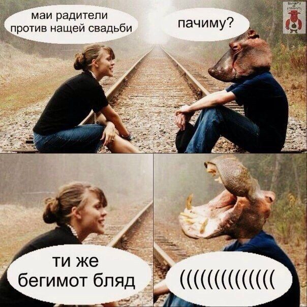 Прикольные картинки (103 фото)