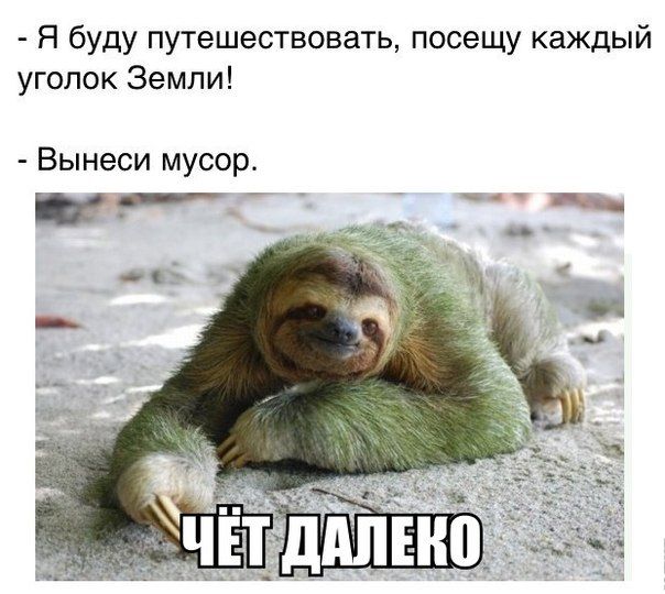 Прикольные картинки (103 фото)