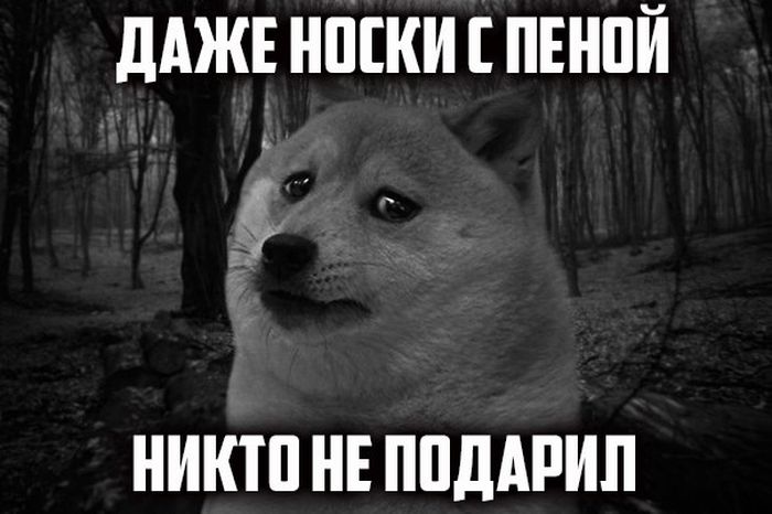 Прикольные картинки (103 фото)