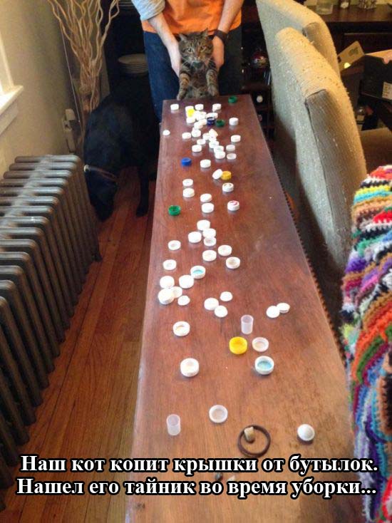 Прикольные картинки (103 фото)