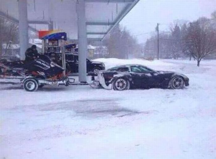 Прикольные картинки (103 фото)