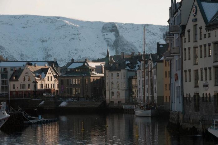 Прикольные картинки (103 фото)