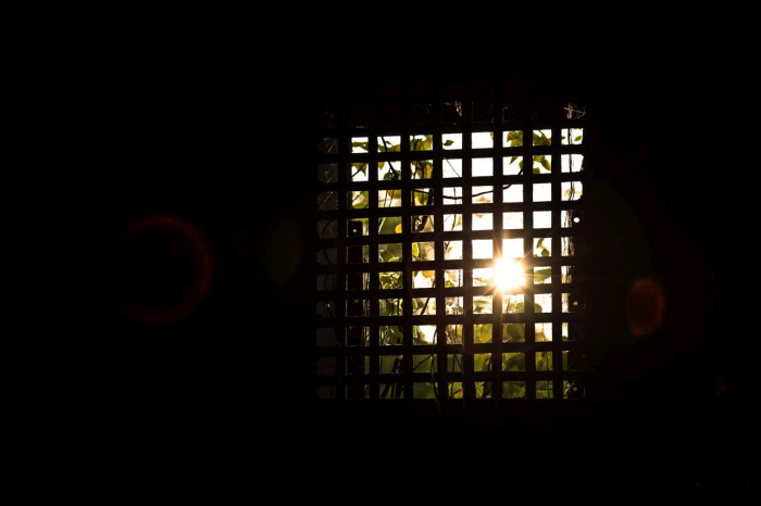 Заброшенная саранская колония-поселение (41 фото)