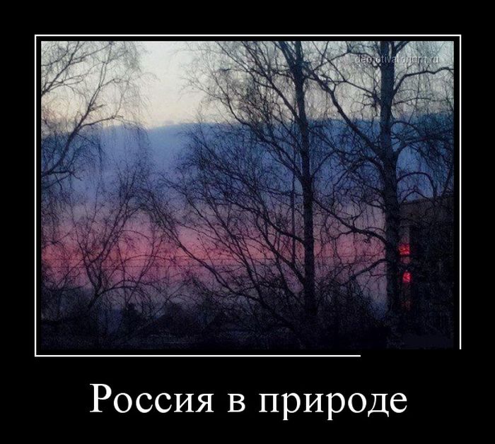 Демотиваторы (30 фото)