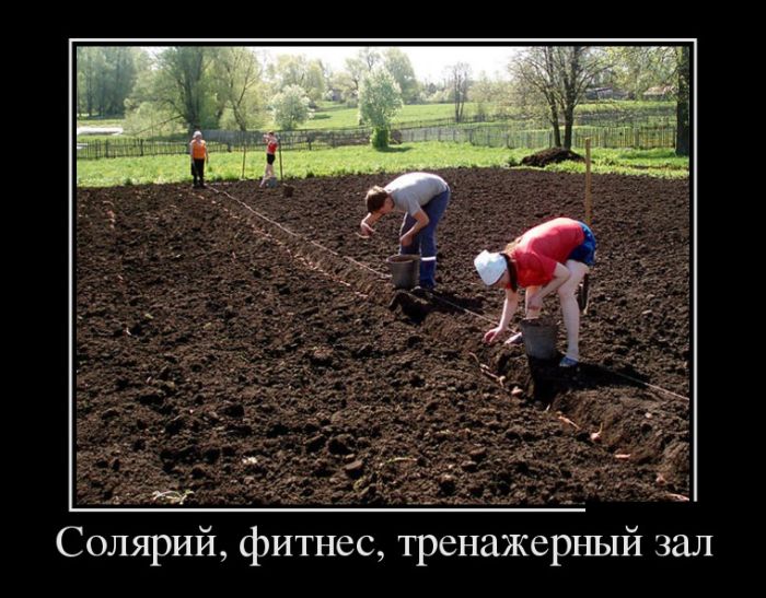 Демотиваторы (30 фото)