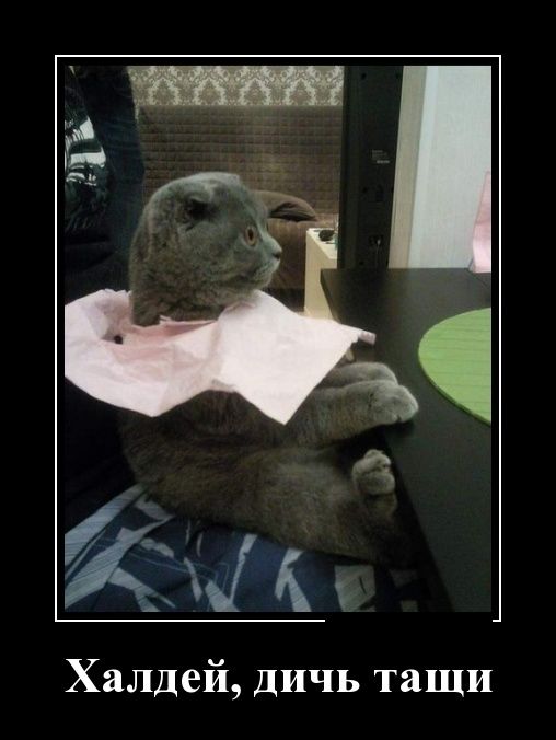 Демотиваторы (30 фото)