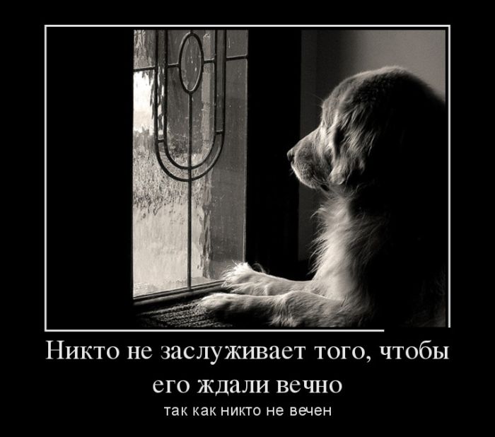 Демотиваторы (30 фото)