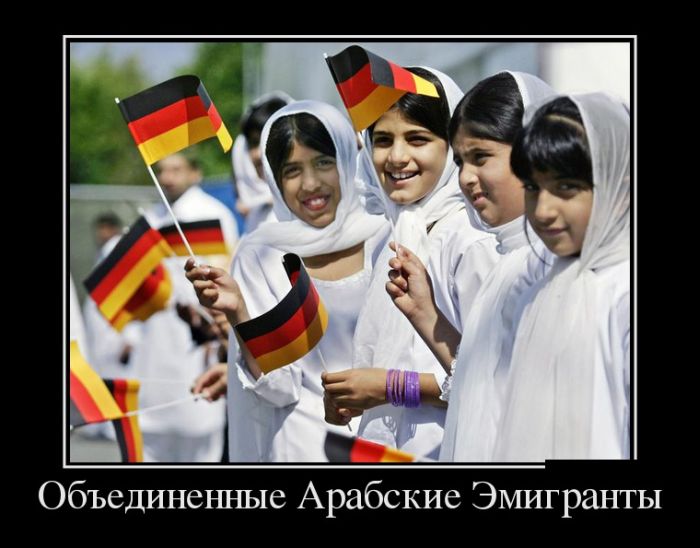 Демотиваторы (30 фото)