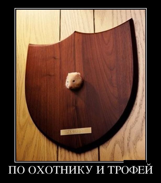 Демотиваторы (30 фото)