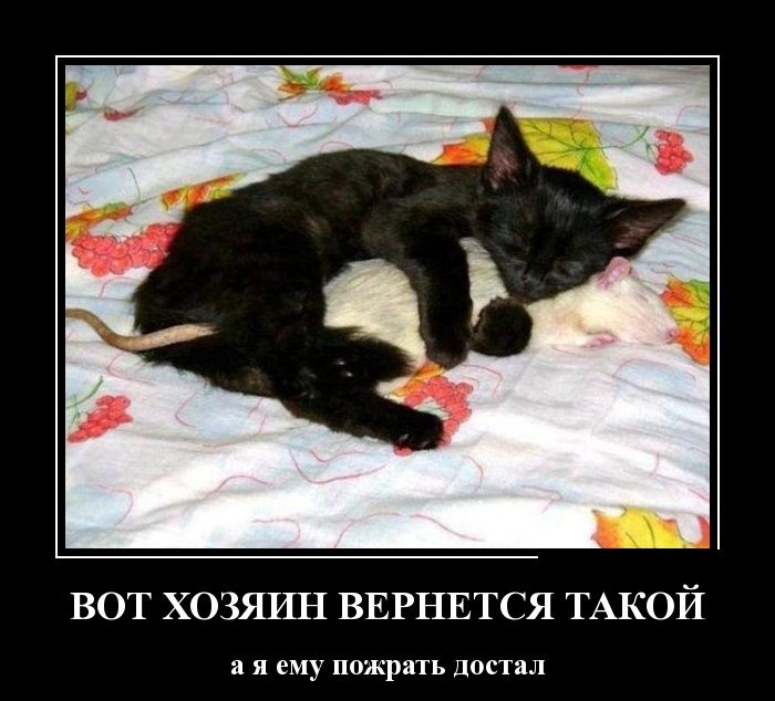 Демотиваторы (30 фото)