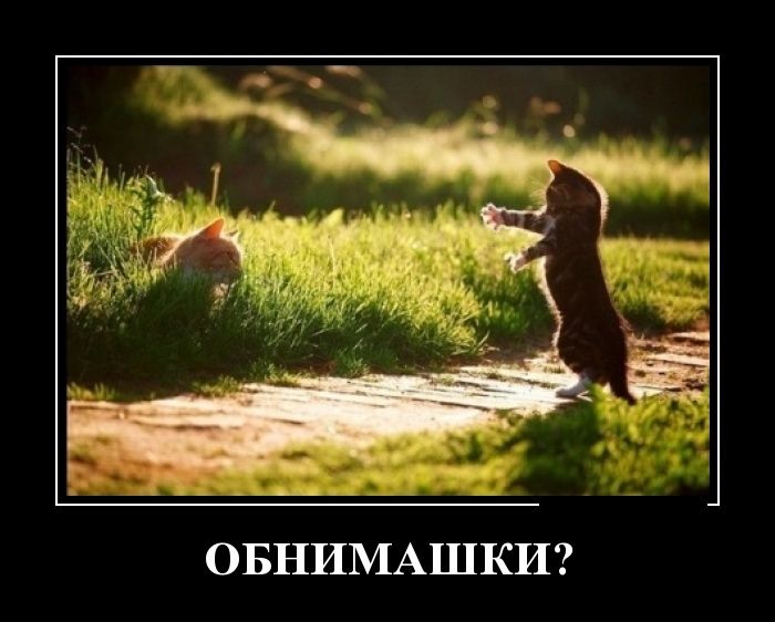 Демотиваторы (30 фото)