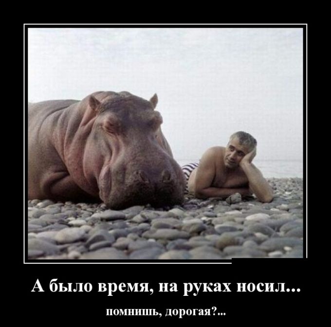 Демотиваторы (30 фото)