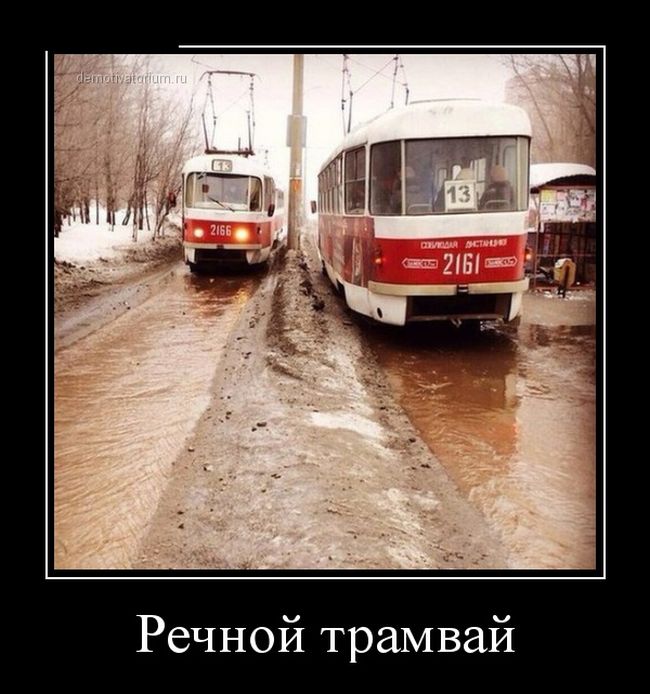 Демотиваторы (30 фото)