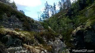 Классные гифки (25 гифок)