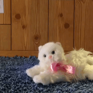 Классные гифки (25 гифок)