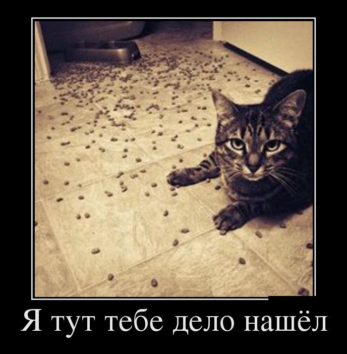 Демотиваторы (30 фото)