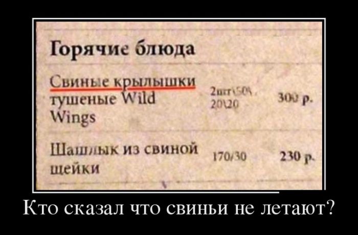 Демотиваторы (30 фото)