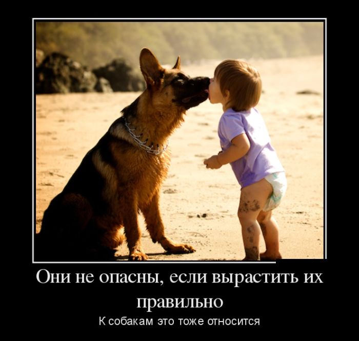 Демотиваторы (30 фото)