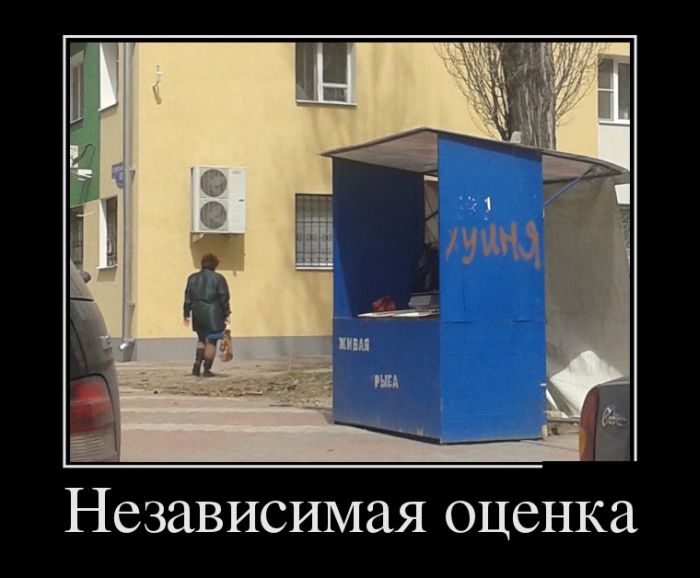 Демотиваторы (30 фото)