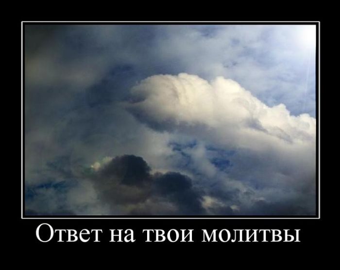 Демотиваторы (30 фото)