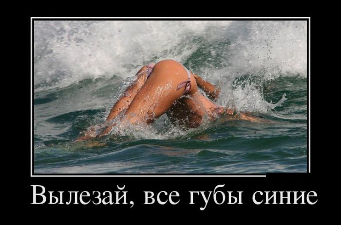 Демотиваторы (30 фото)