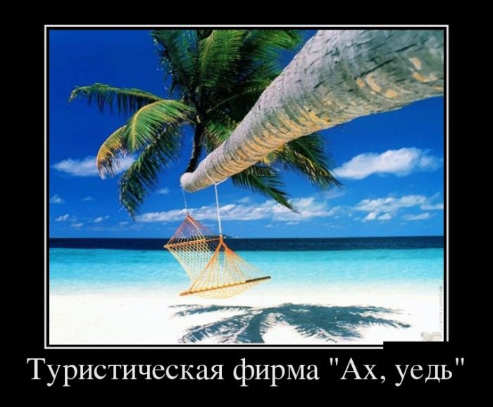 Демотиваторы (30 фото)